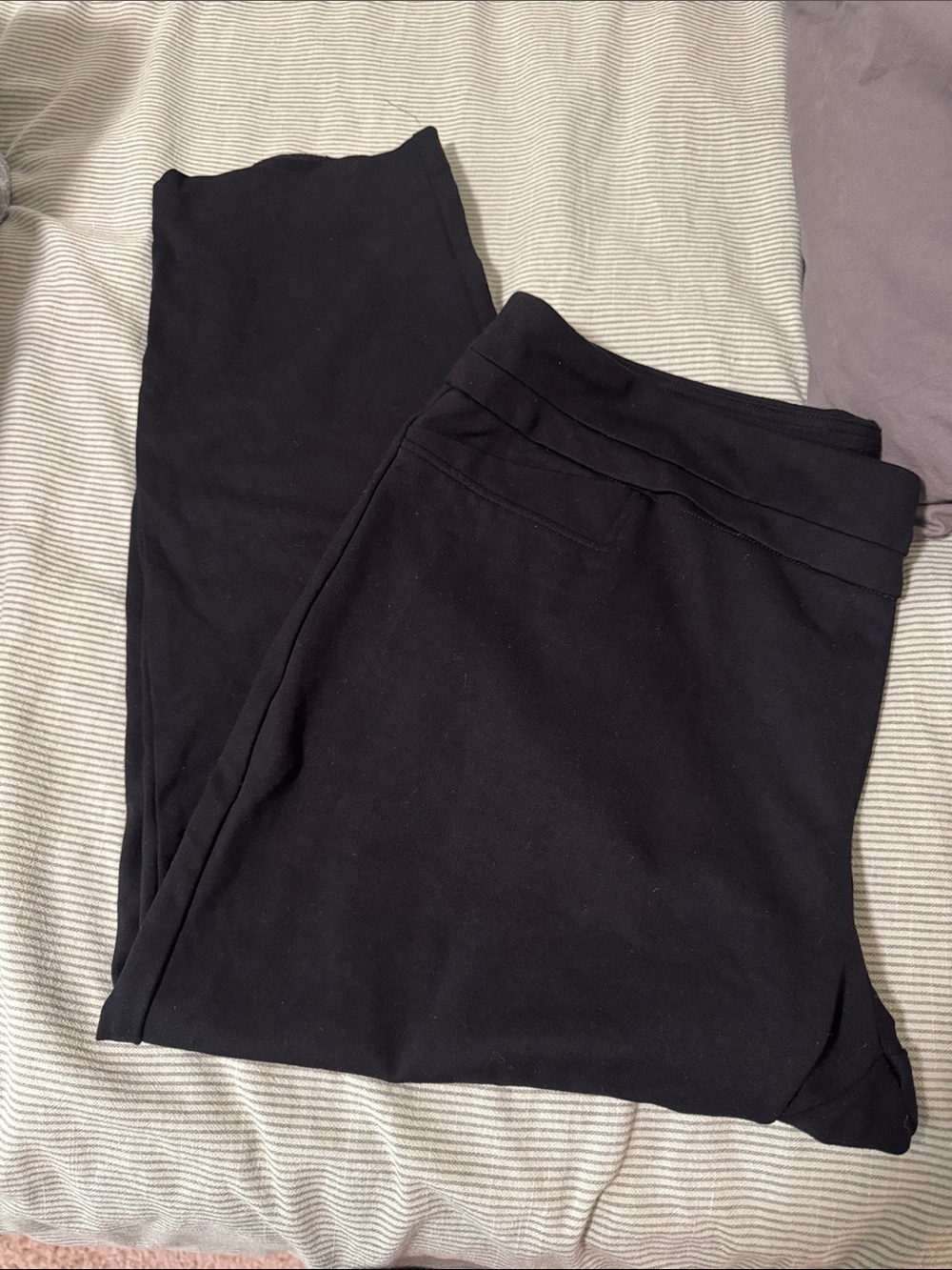 Zac & Rachel Black Women's Pull-On Ponte Leggings - 3X